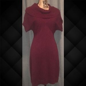 Ribbed cowl neck fitted sweater dress